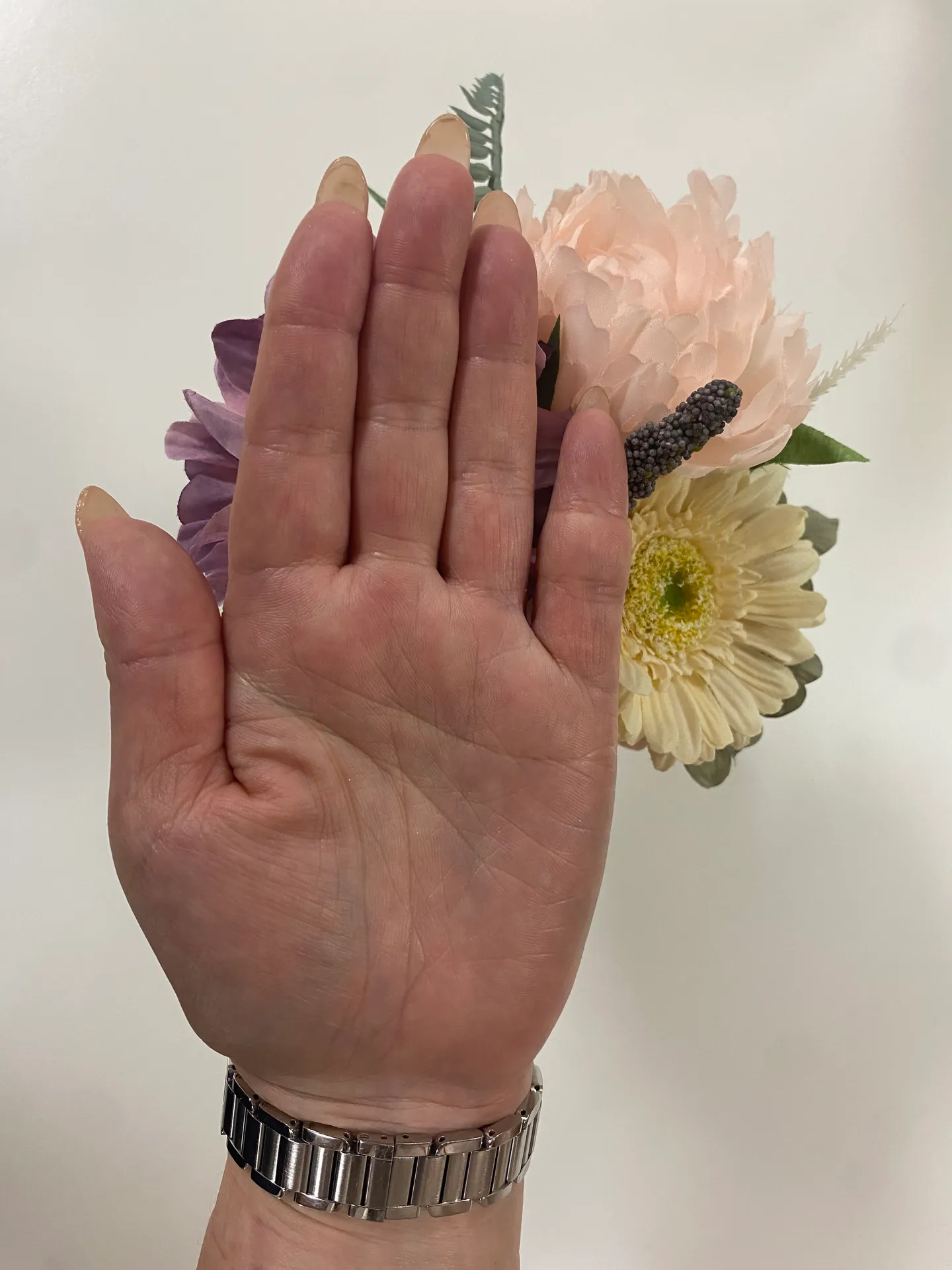 zoom手相研究会